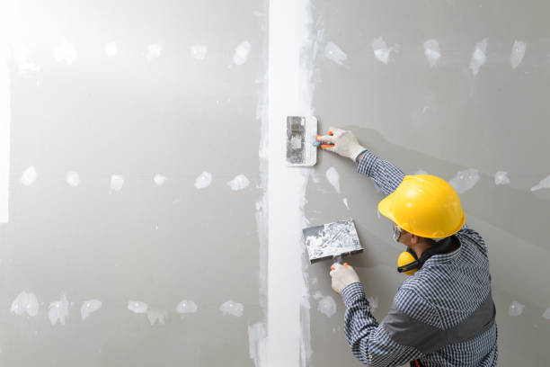 Best Wallpaper Removal and Painting  in USA