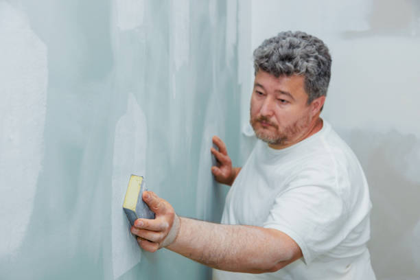 Best Drywall Sanding and Smoothing  in USA